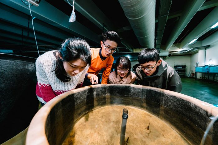 見證魚卵孵化前珍貴模樣  走入屏東海生館後場體驗生命的悸動 小丑魚卵上百顆小眼閃爍吸睛 鯊魚卵鞘中寶寶模樣引起驚呼