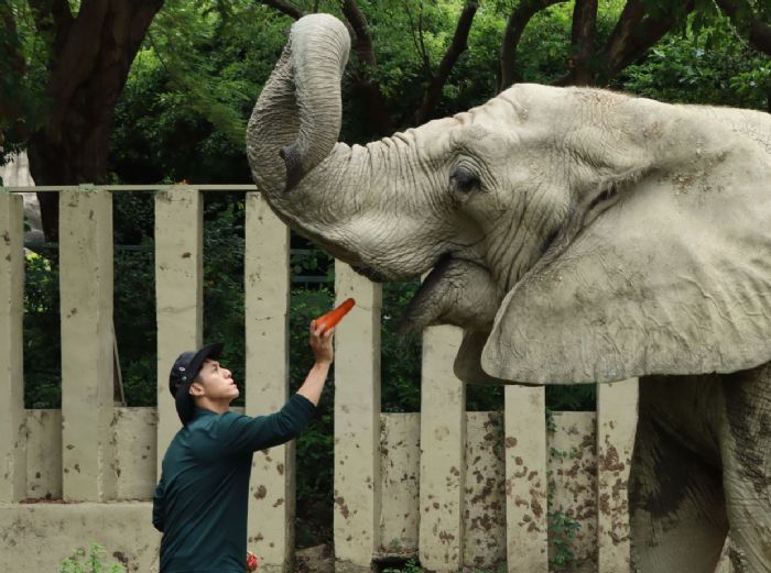 壽山動物園的超級奶爸們：給予動物最溫暖的呵護，享專屬活動！