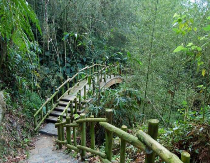 幽谷漫步之旅：米洋溪步道 (Miyangxi Trail)