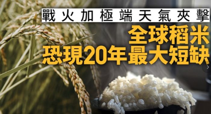 全球稻米遇20年最大短缺　烏戰與極端氣候恐推高米價至明年