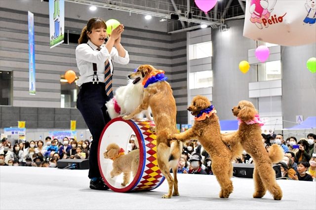 享受與可愛動物的互動 福島縣郡山市時隔 4 年首次舉辦“寵物嘉年華”