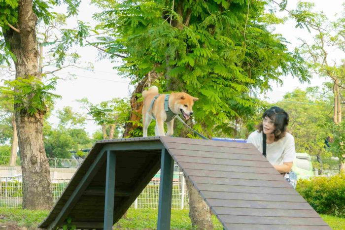 高雄打造寵物天堂：七座專用公園讓毛小孩盡情嬉戲