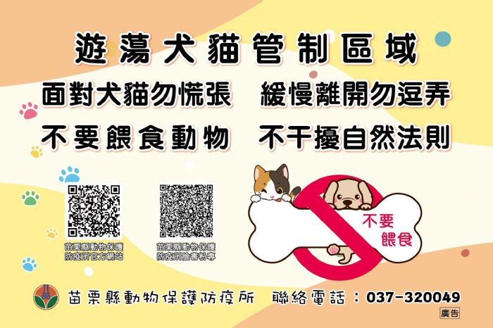 解決遊蕩犬問題：苗栗縣的努力與未來展望