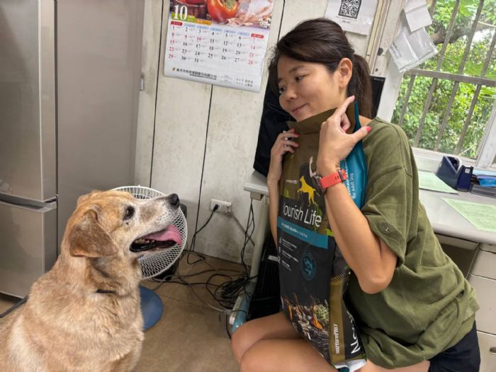 讓成犬共享溫馨時光：新北市成犬認養活動大成功