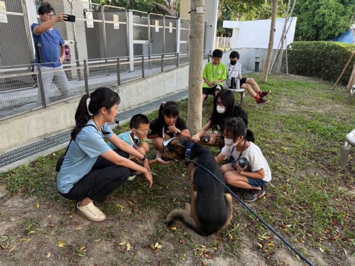 動物與孩子共譜成長篇章！動保處攜手心理諮商所推動溫暖教育