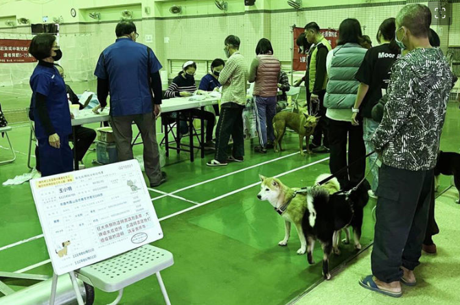 高雄市動物保護處舉辦偏鄉巡迴犬貓絕育活動，居民踴躍參與