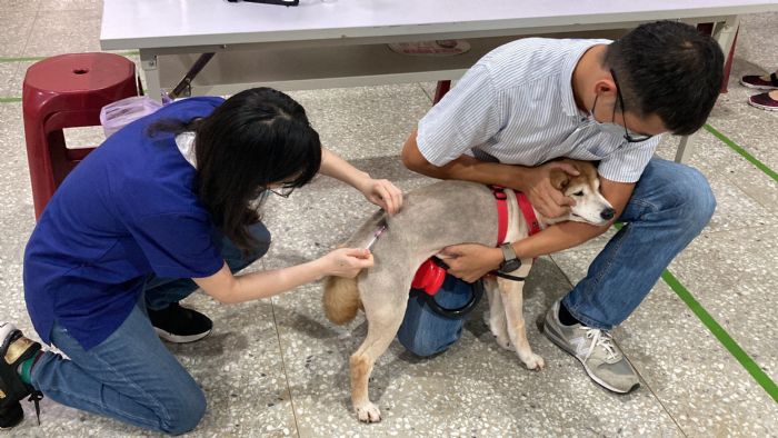 臺北市動保處推動狂犬病防疫，開展山區鄰里家犬貓巡迴注射活動