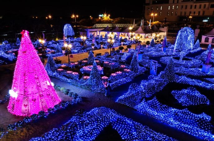 嘉義秘境驚艷登場  百坪銀河燈海與雪花飄落體驗  還有落羽松迷人景觀