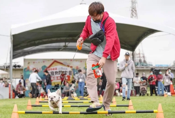 竹市將有新寵物公園了 毛小孩運動會9日樹林頭公園登場