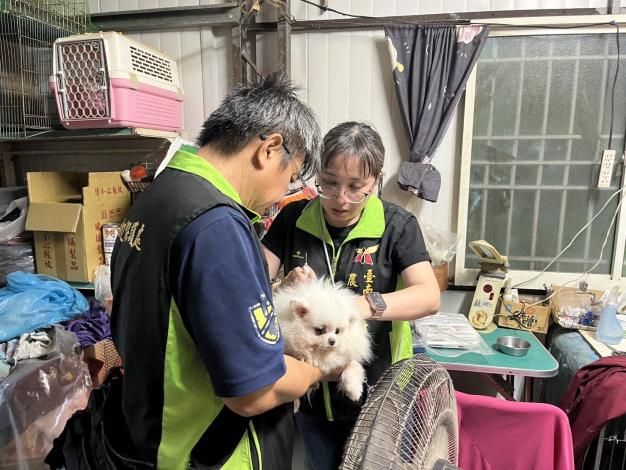 臺南市六甲區非法犬隻繁殖查緝行動：動保處成功救援17隻犬隻