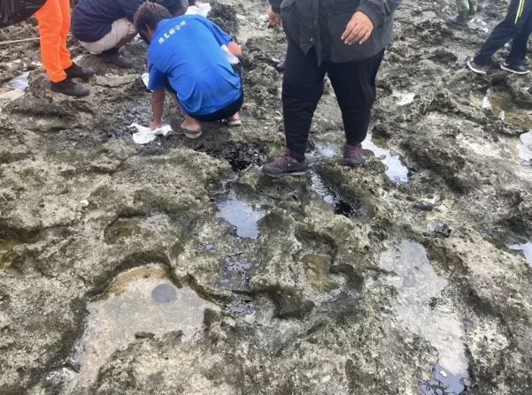 驚！綠島礁岩滿布黑色油汙 地方疑國際郵輪偷排