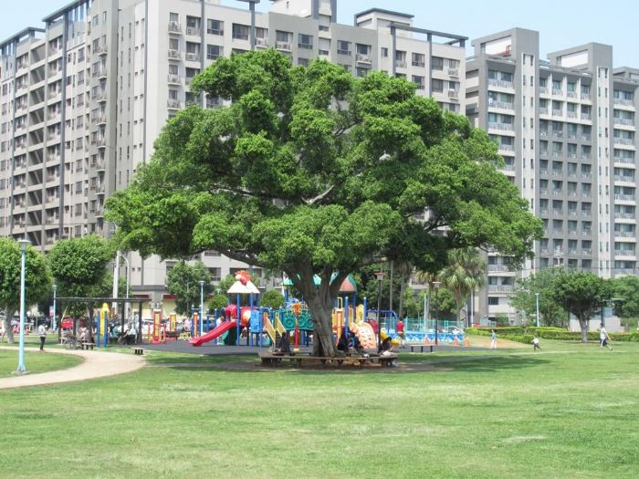 桃園市獻給毛小孩的專屬樂園