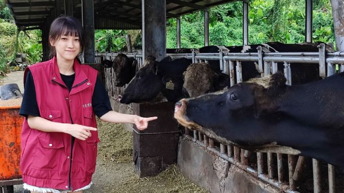 大學生暑期工讀新體驗：高郁婷的動物之家暖心之旅