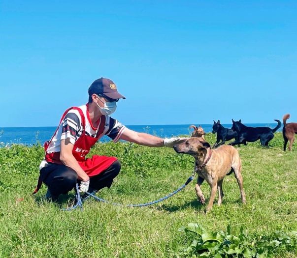 新北淡水動物之家成功救援幼犬安安，溫馨認養迎來幸福新生活