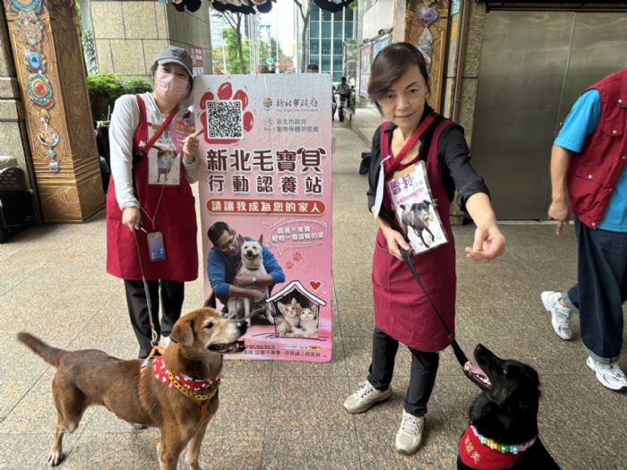 光棍節牽手毛寶貝！新北市1+1犬貓認養會溫馨登場