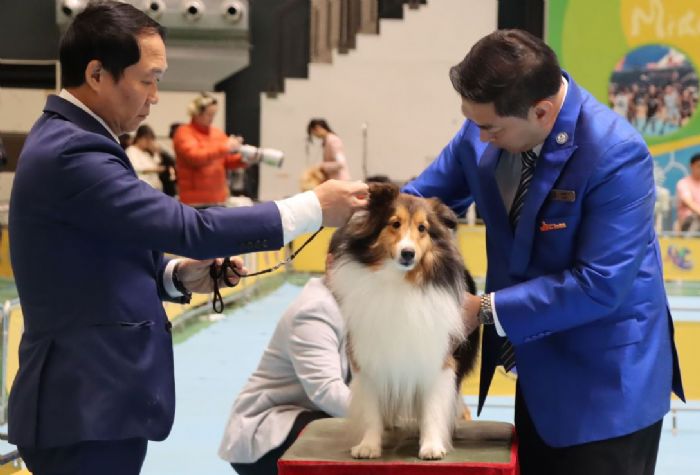 苗栗國際畜犬展覽：免費動物狂犬病預防注射由動防所配合