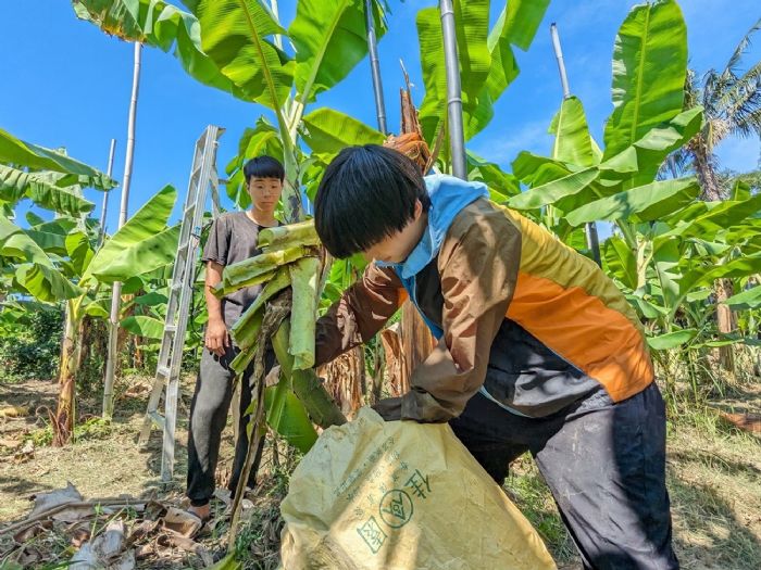 青年署推動土地歷史與文化課程，青年深度探索臺灣土地故事