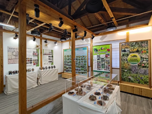 迎龍年春節！嘉義樹木園濱海植物種子特展隆重登場