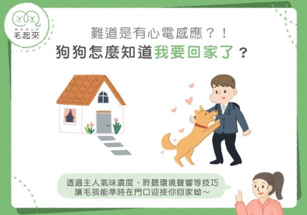 狗狗怎麼知道我要回家了？難道是有心電感應？！