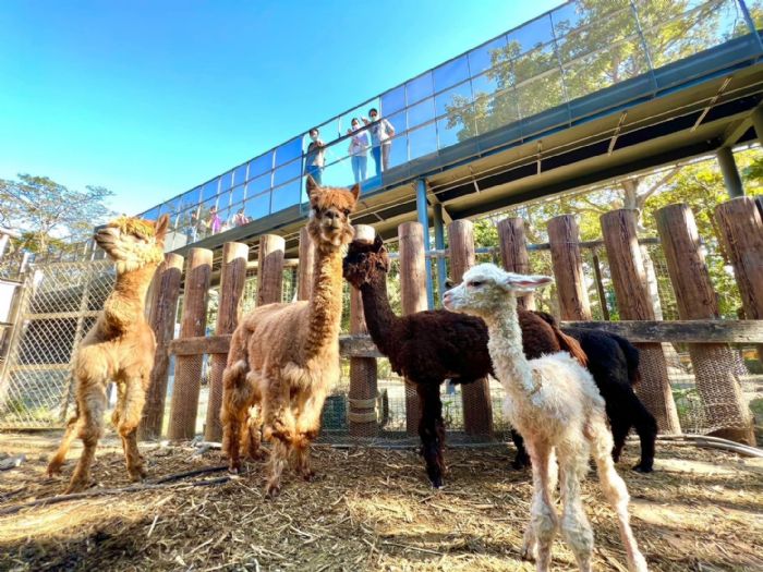 兼具動物保育與生命教育 壽山動物園REOPEN四個月突破50萬人次