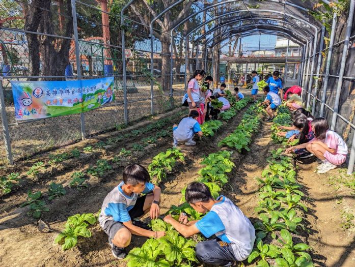 梓官國小菜園豐收義賣 歲未寒冬助孤老