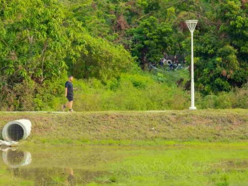 鳳山區歡迎誠智里公園落成，打造溫馨綠意新天地