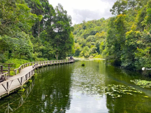 免門票「亞洲最大植物園」在這！搶拍絕美水生池、近距離賞山羌，想去先預約