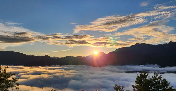 阿里山山林音樂節 植作發聲與樂音共同的療癒聽覺饗宴